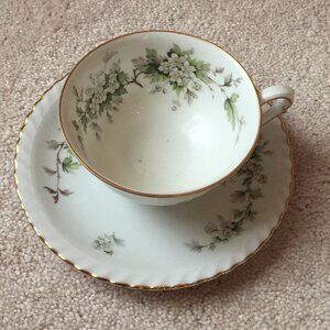 Franconia Tea Cup with Saucer